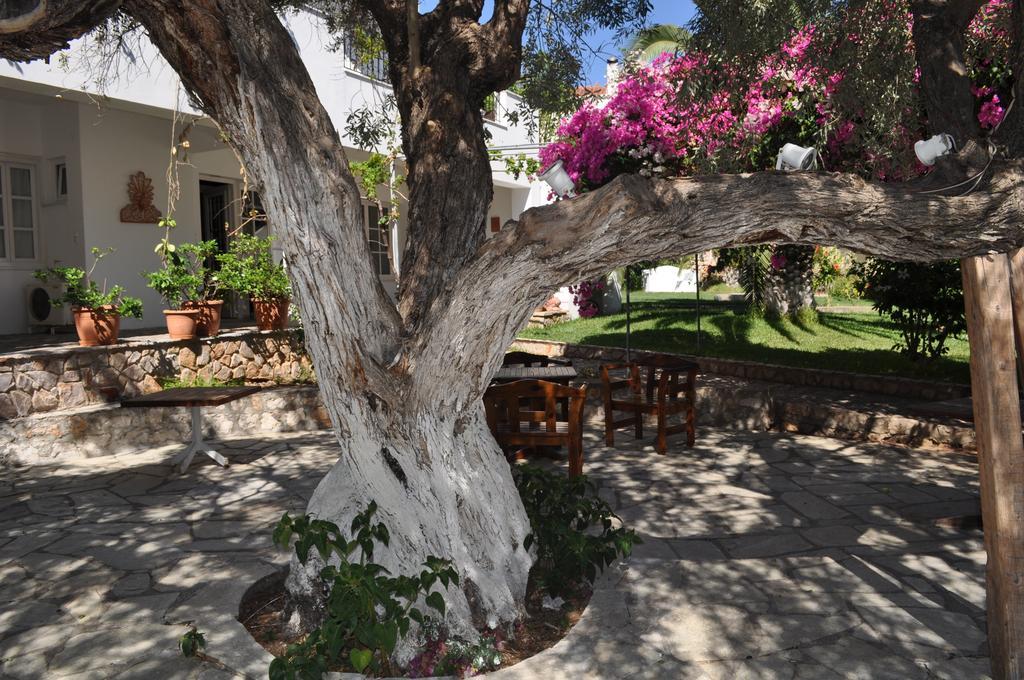 Villa Martha Spétses Exteriér fotografie